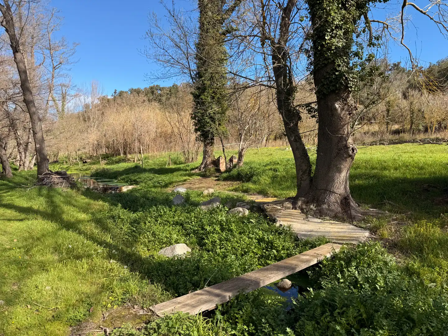 Finca rústica en venda a Agullana