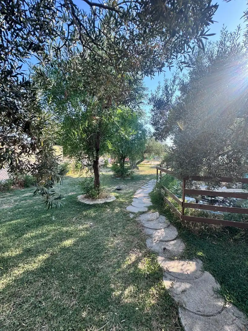 Jardí de Finca rústica en venda en Utrera