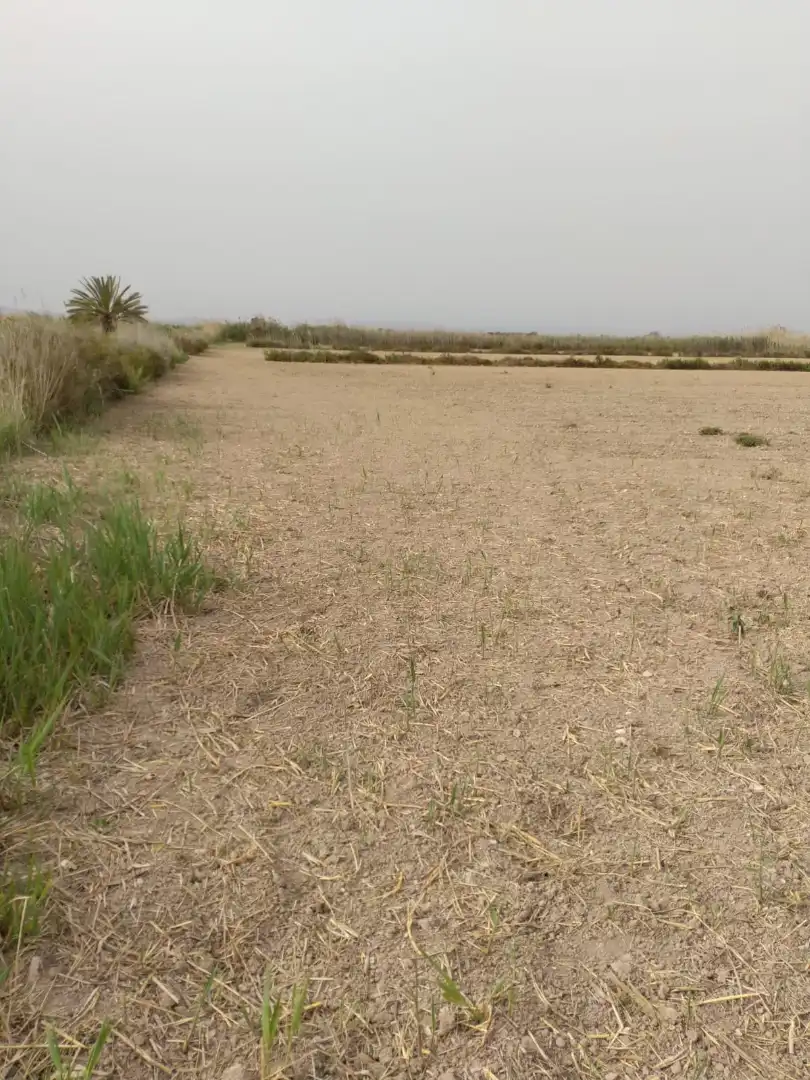 Terreno en venta en Elche / Elx