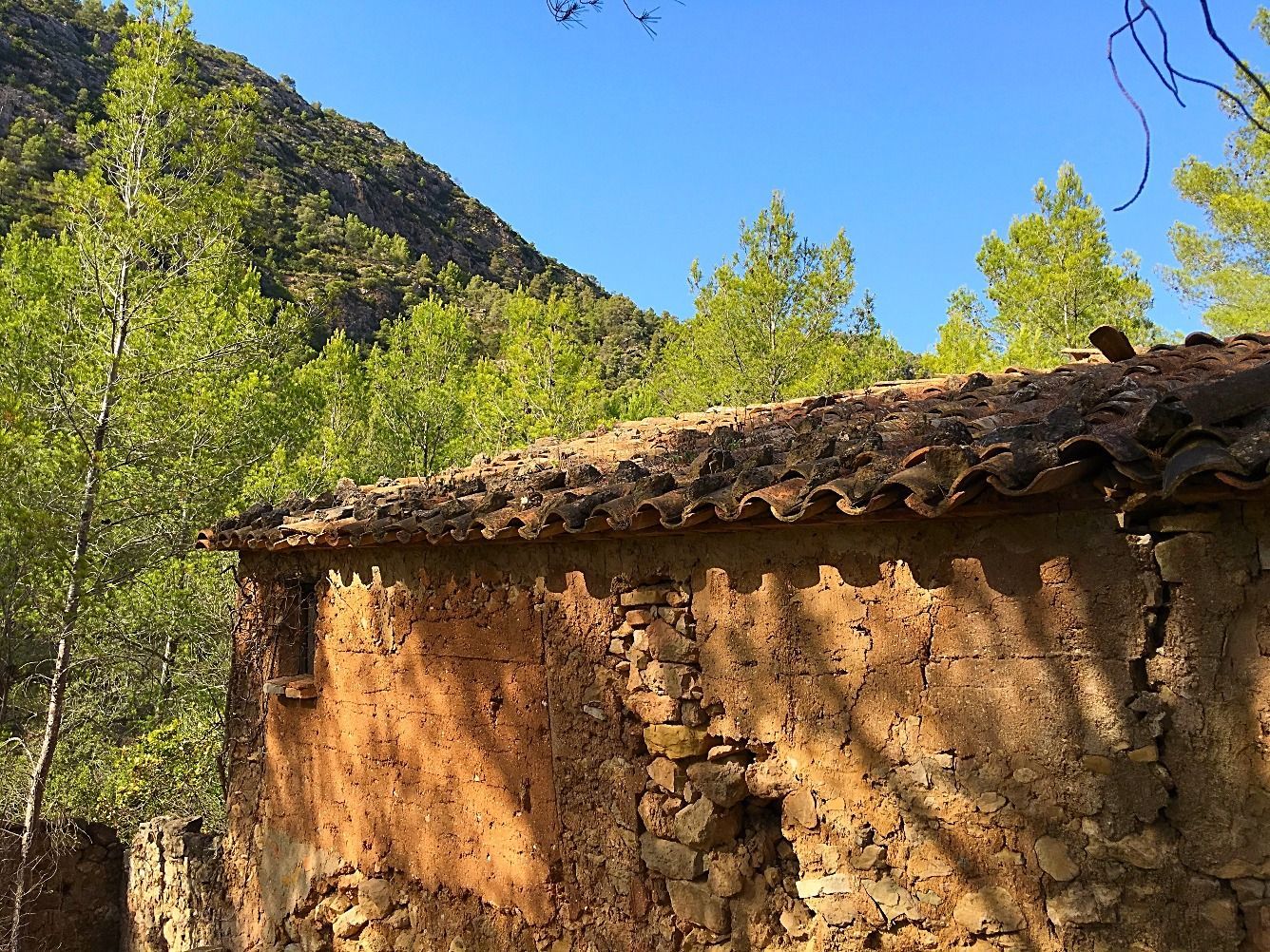 Vista exterior de Finca rústica en venda en Benifallet