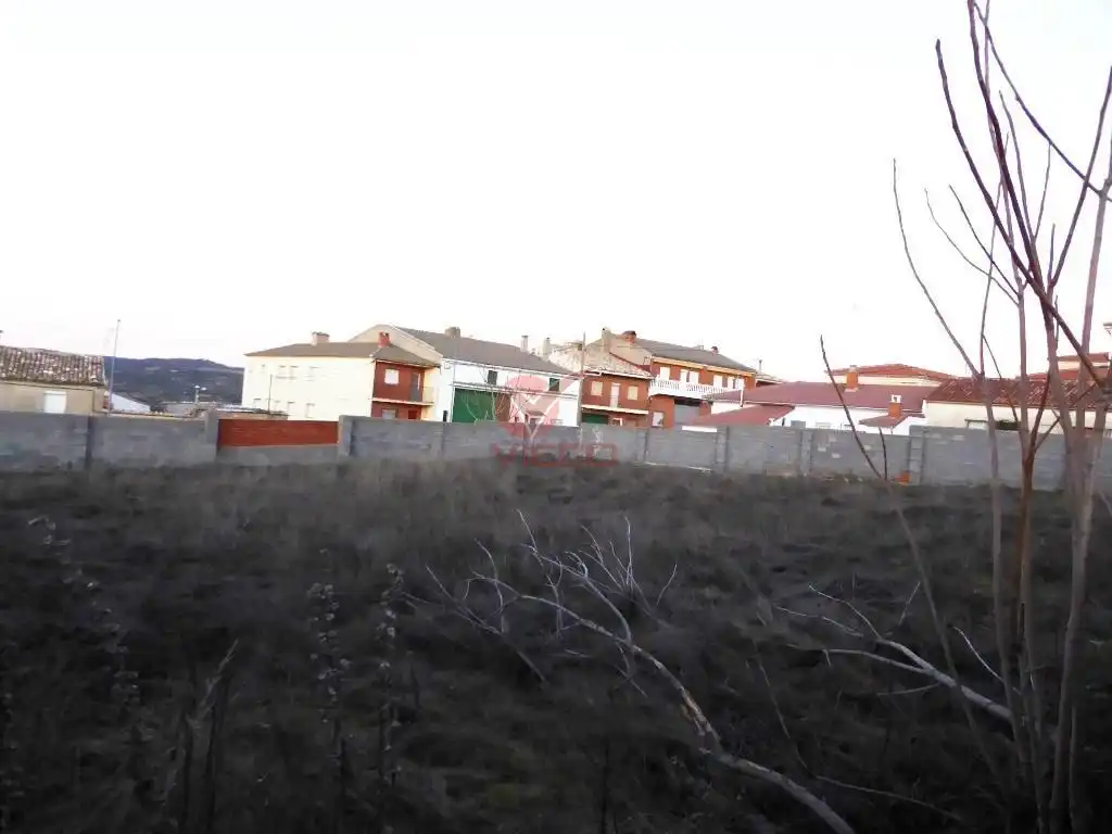 Rural land for sale in ABIA DE LA OBISPALIA, AGUSTIN FERNANDEZ MUÑOZ, imagen 9