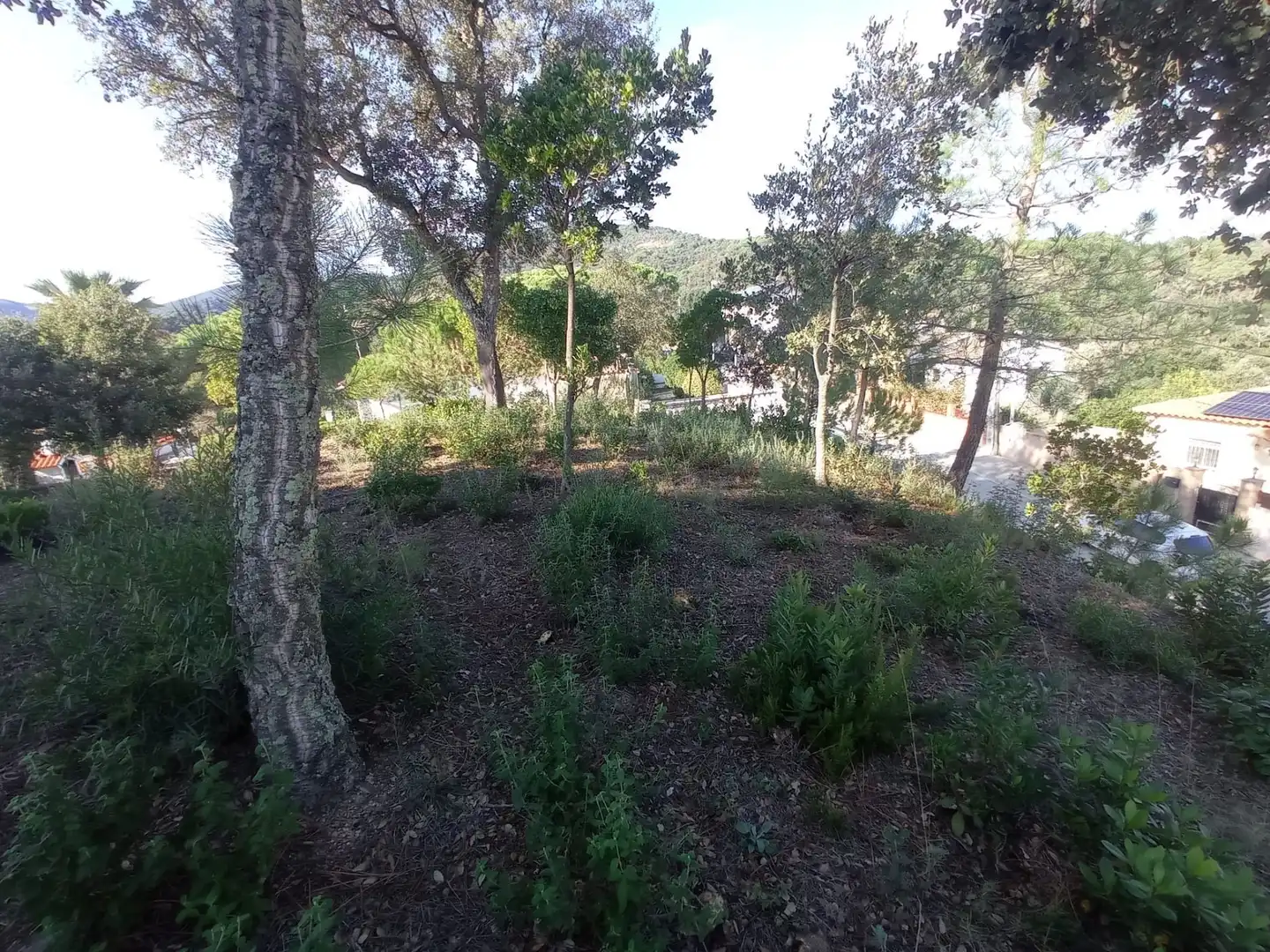 Residential for sale in Tordera