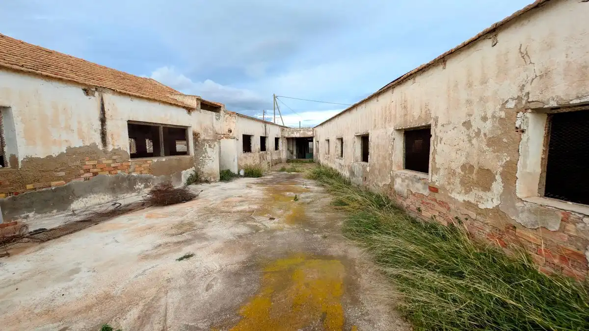 Industriegebäude zum Verkauf in Partida Torregroses Polígono, imagen 4
