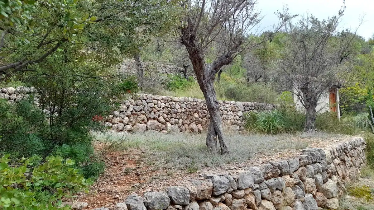 Terreny rústic en venda a Fornalutx, imagen 11