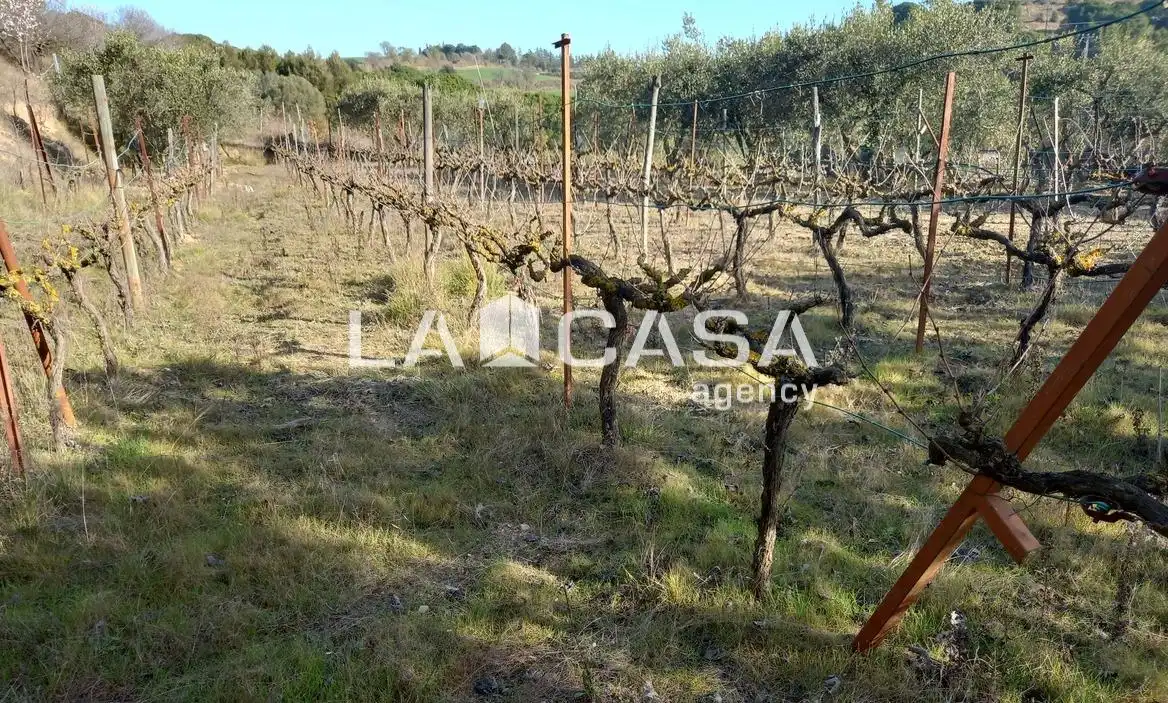 Terreno rustico in vendita a Zona Industrial, imagen 12