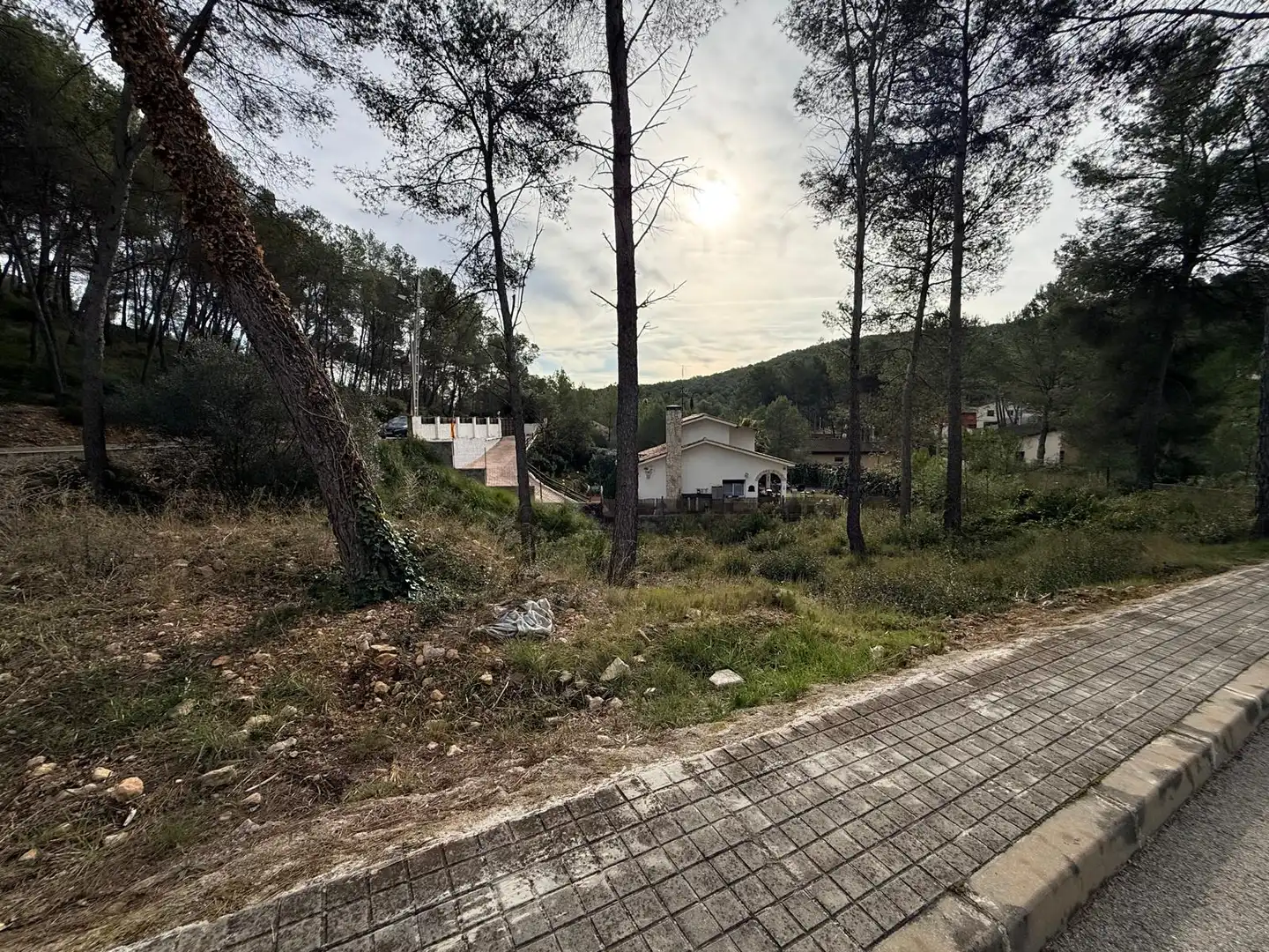 Terreno residencial en venta en Olivella, imagen 5