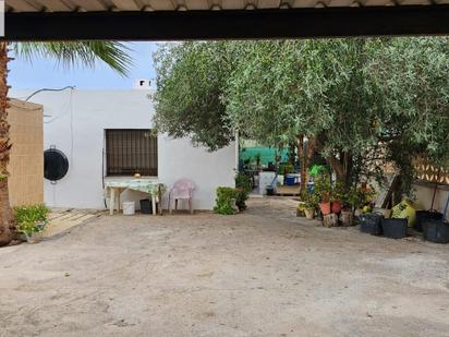 Exterior view of Country house for sale in Burriana / Borriana  with Private garden, Terrace and Swimming Pool