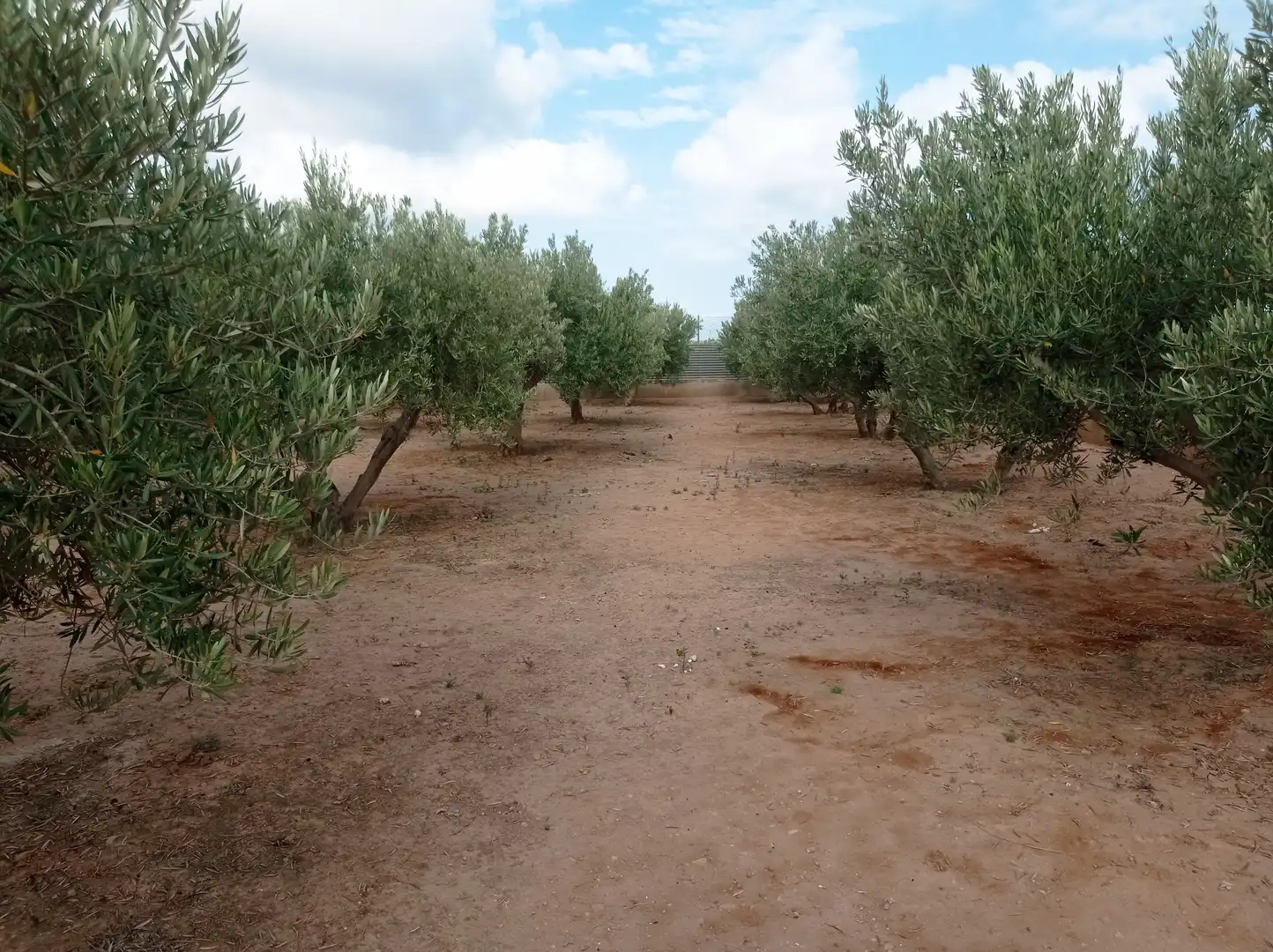 Finca rústica en venta en Fuente Álamo de Murcia con Calefacción, Jardín privado y Piscina