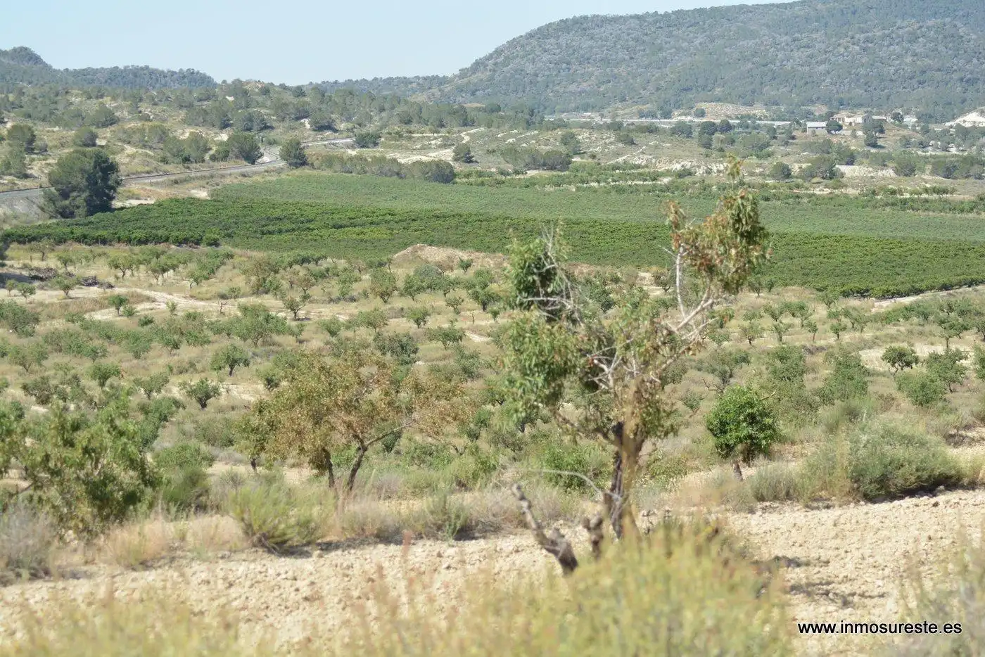 Terreno rustico in vendita a Campo de Murcia, imagen 12