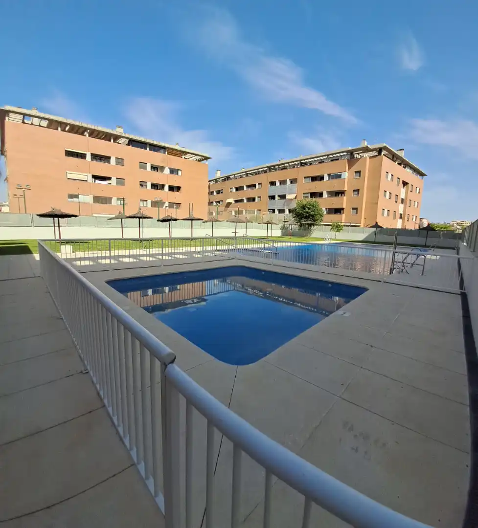 Swimming pool of Flat for rent in Mairena del Aljarafe  with Air Conditioner and Community pool