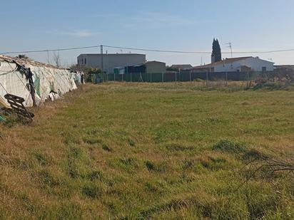 Land for sale in Los Palacios y Villafranca