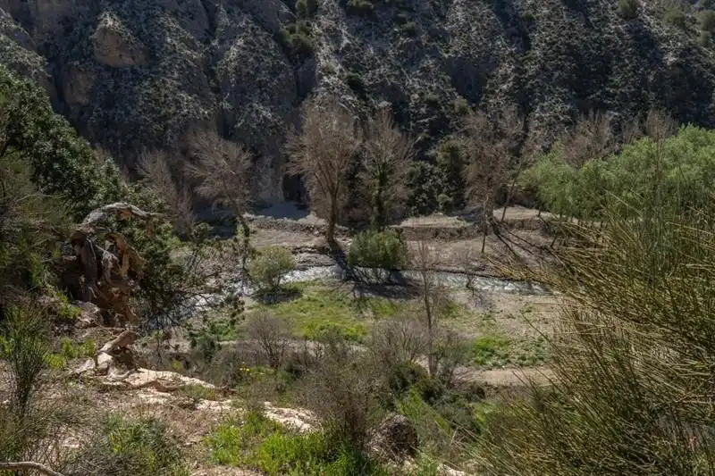 Terreny rústic en venda a Calle Baja, imagen 18