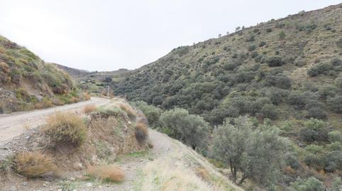 Photo 4 of Land for sale in  Extrarradio, Monachil pueblo, Monachil