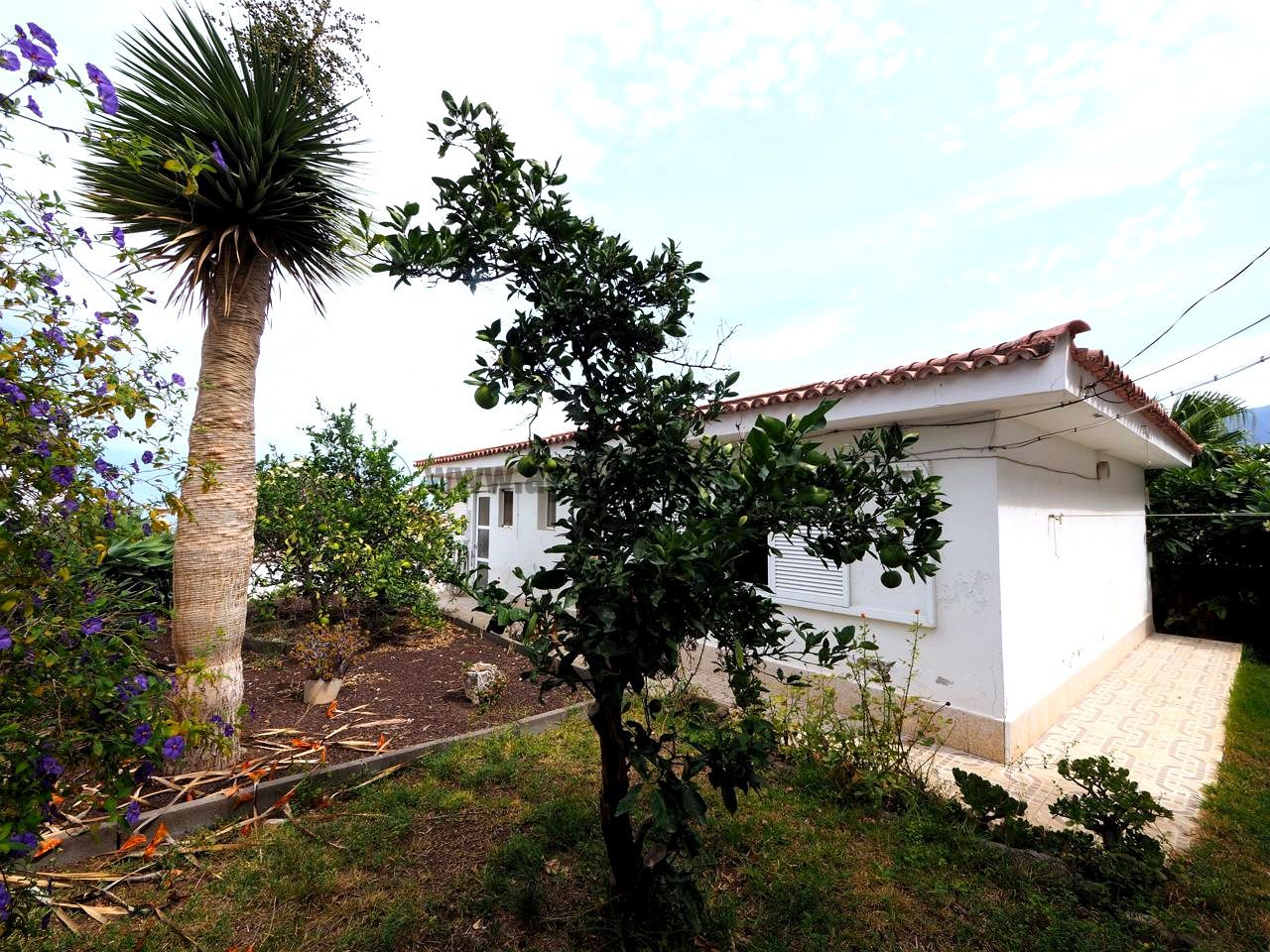 Exterior view of House or chalet for sale in Los Realejos  with Private garden and Terrace