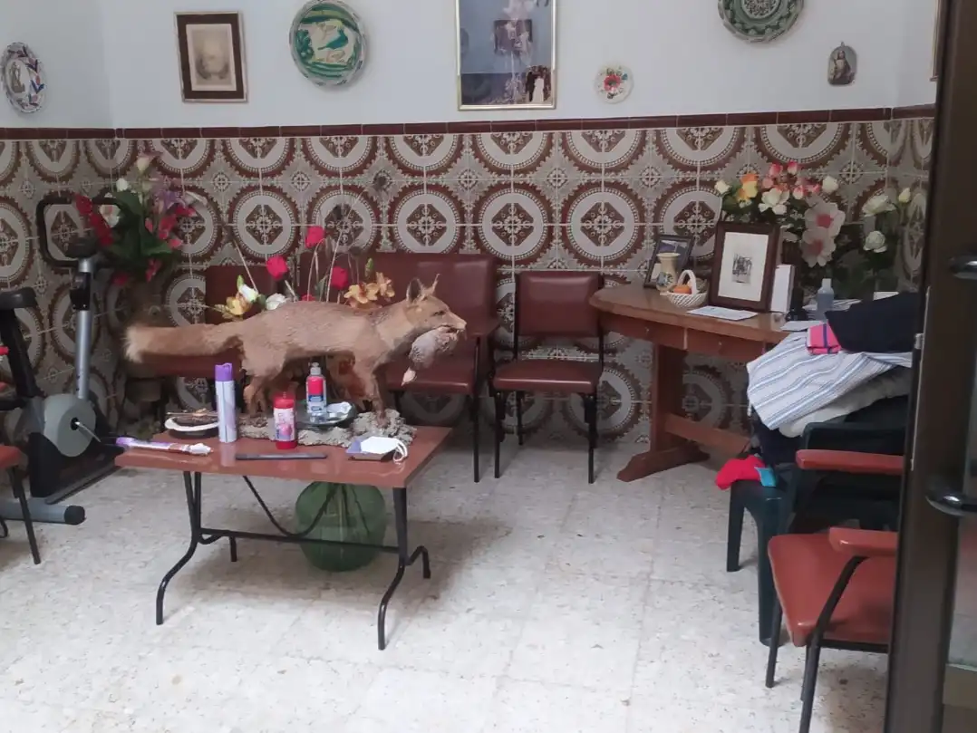 Maison à vendre à Calle san anuo. 13, imagen 15