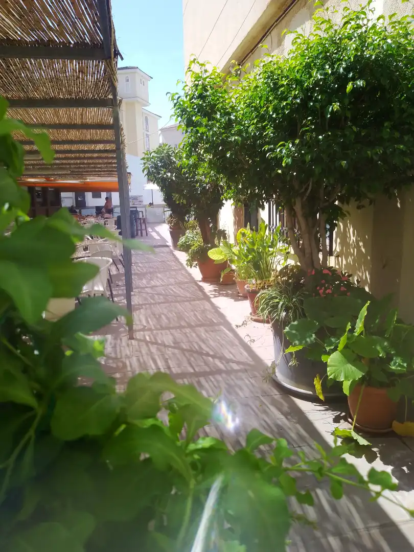 Apartamento con piscina en venta en Calle San Miguel, imagen 14
