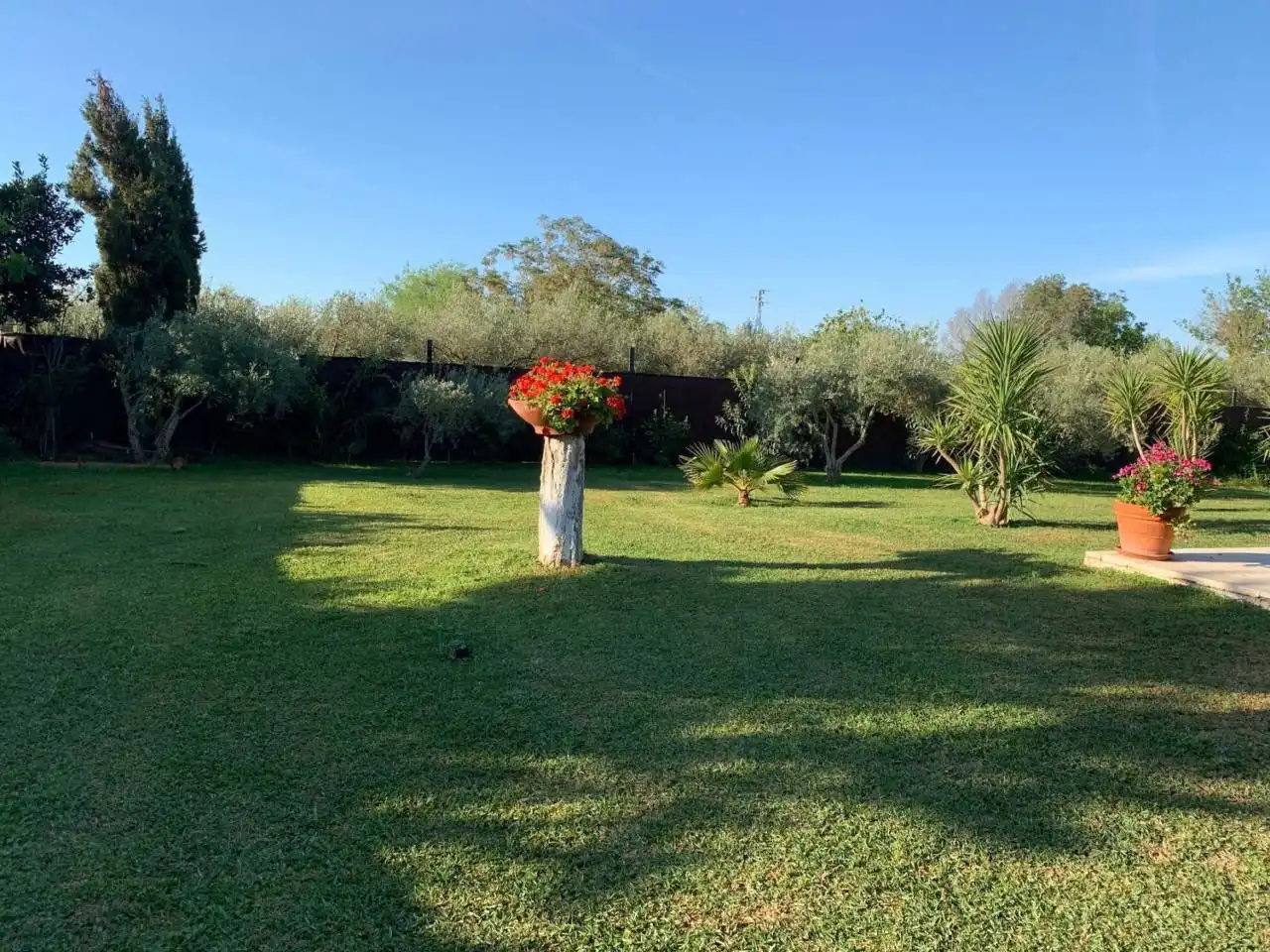 Jardín de Casa o chalet en venta en Carmona con Aire acondicionado, Jardín privado y Terraza