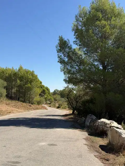 Casa en venda a MENTA   ( PLANA TORRES), imagen 69