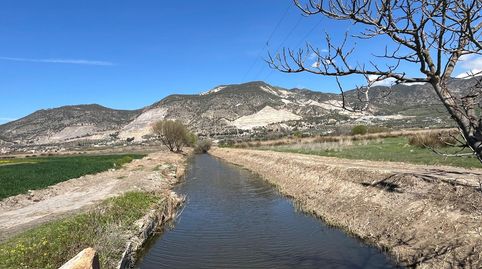 FINCA DE REGADIO EN LA ZONA DE LA ACEQUIA MADRE MAESTRA, PADUL GRANADA