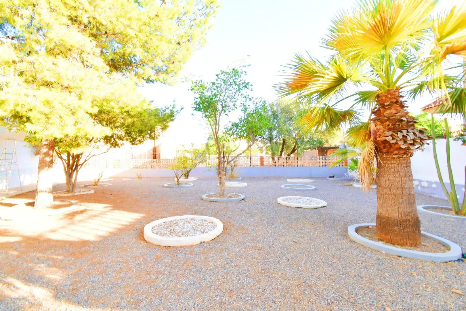 Jardín de Casa o chalet en venta en El Ejido