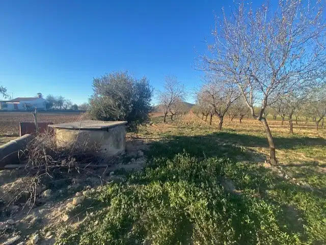 Terreno rústico en venta en Ue-7 22X, imagen 13
