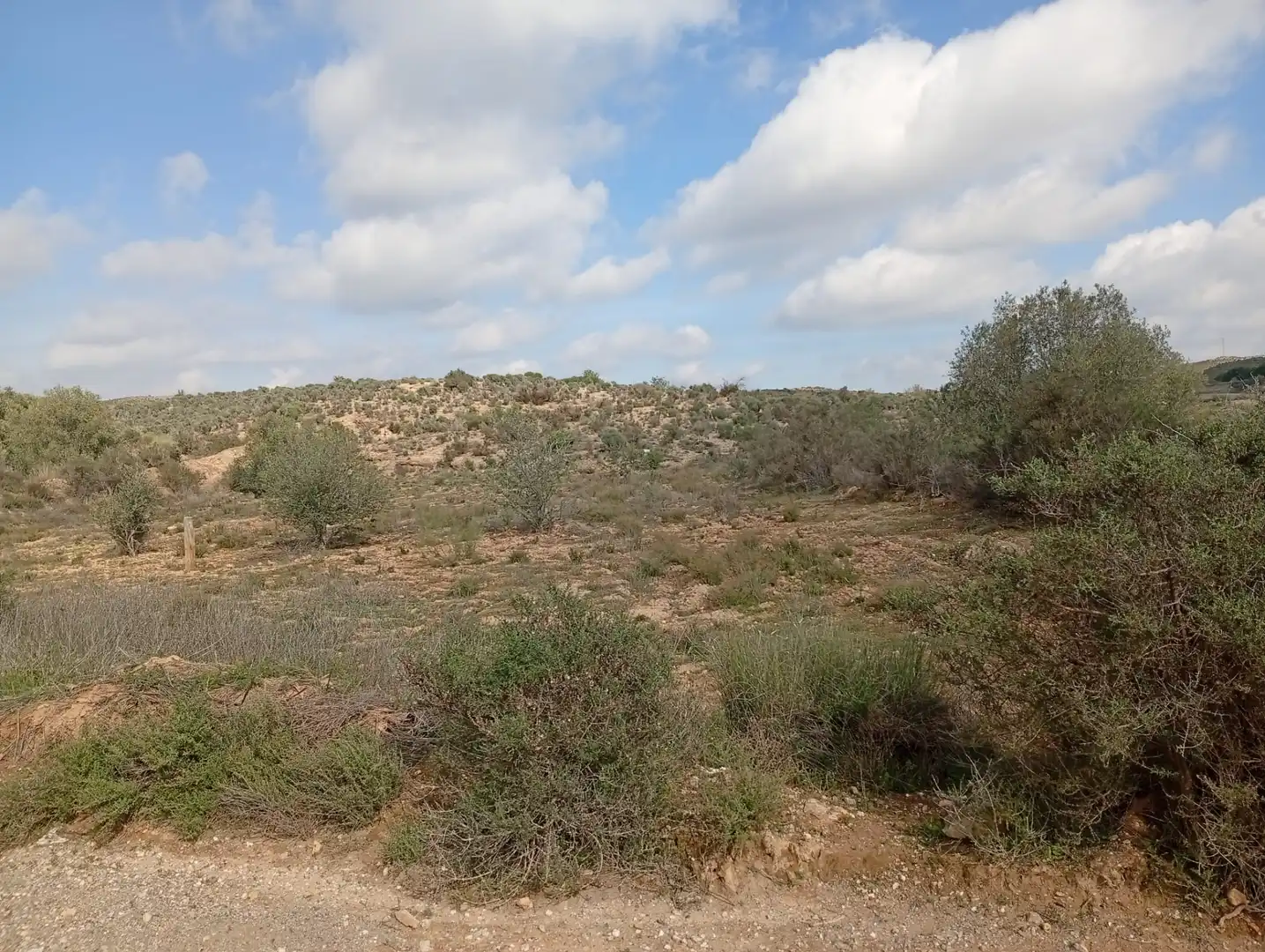 Terreny en venda a Rambla La Higuera, Albox