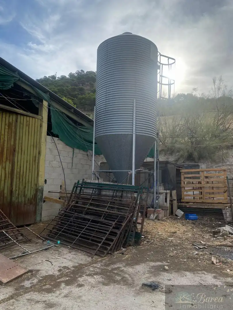 Vista exterior de Nave industrial en venta en Rute