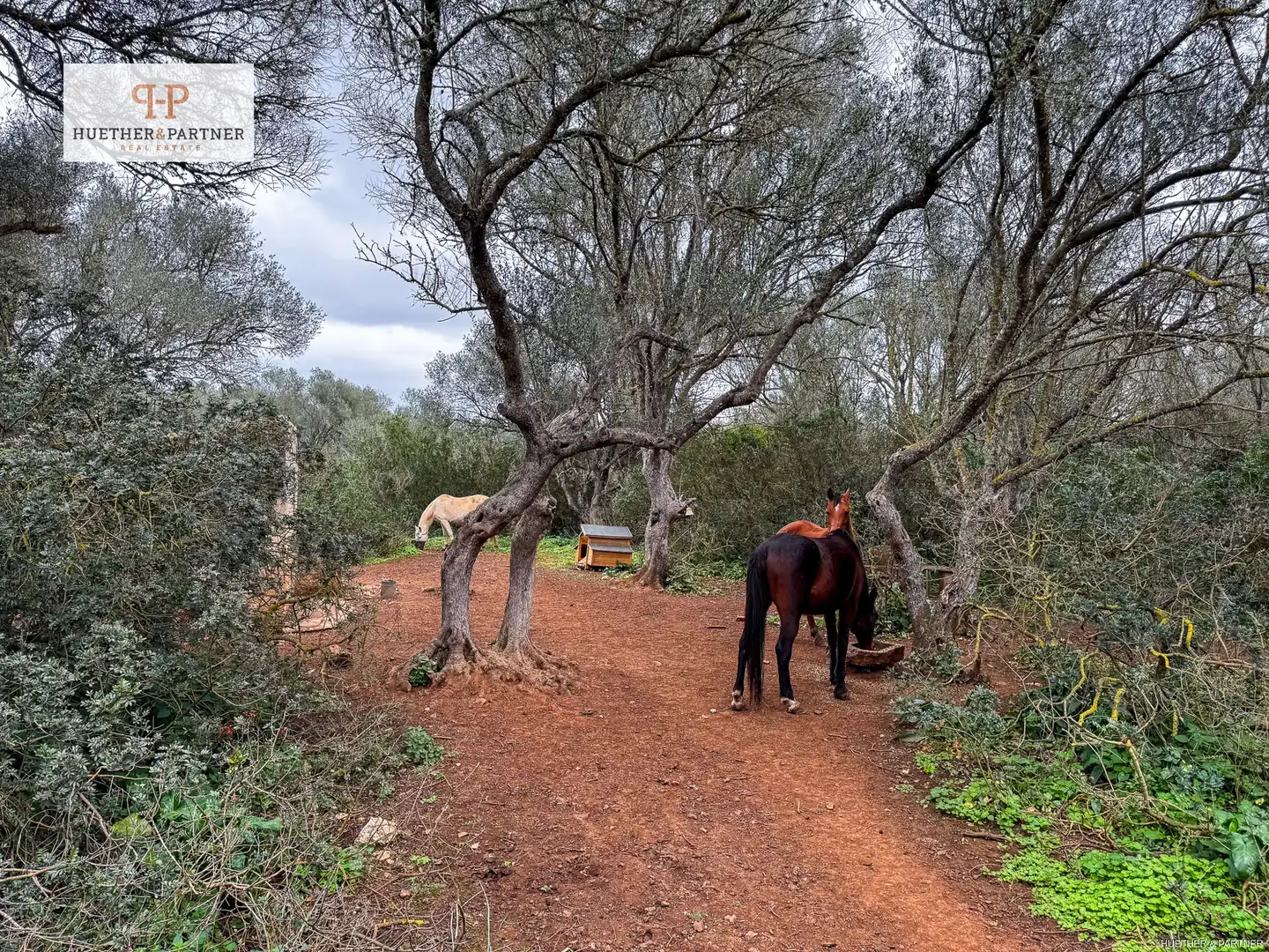 Residential land for sale in Felanitx Poble, imagen 7