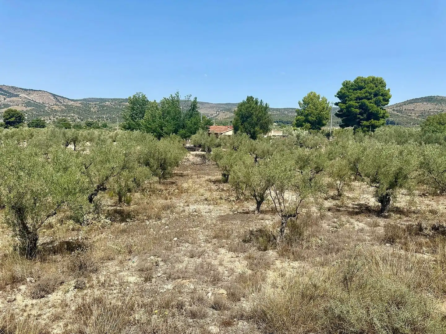 Villa in vendita a Onil, imagen 21