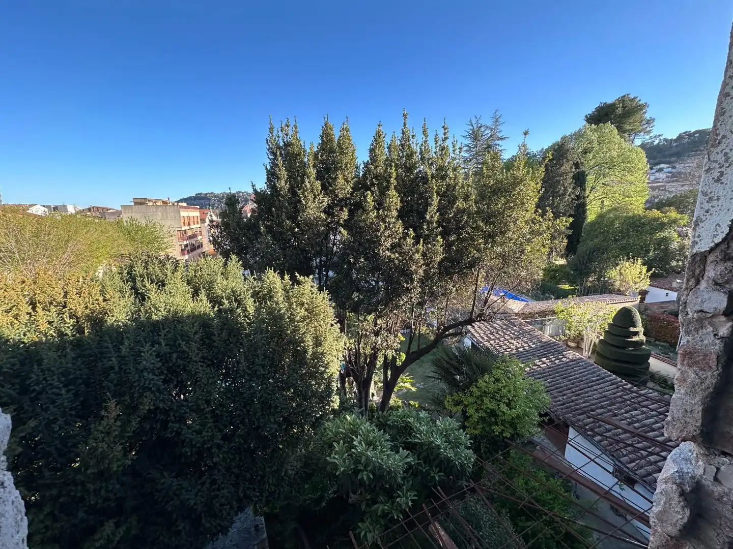 Jardí de Edifici en venda en Capellades