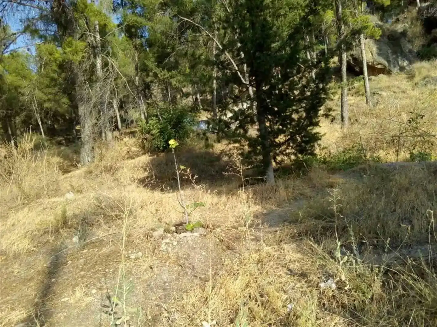 Terreno en venta en Pedanías Este