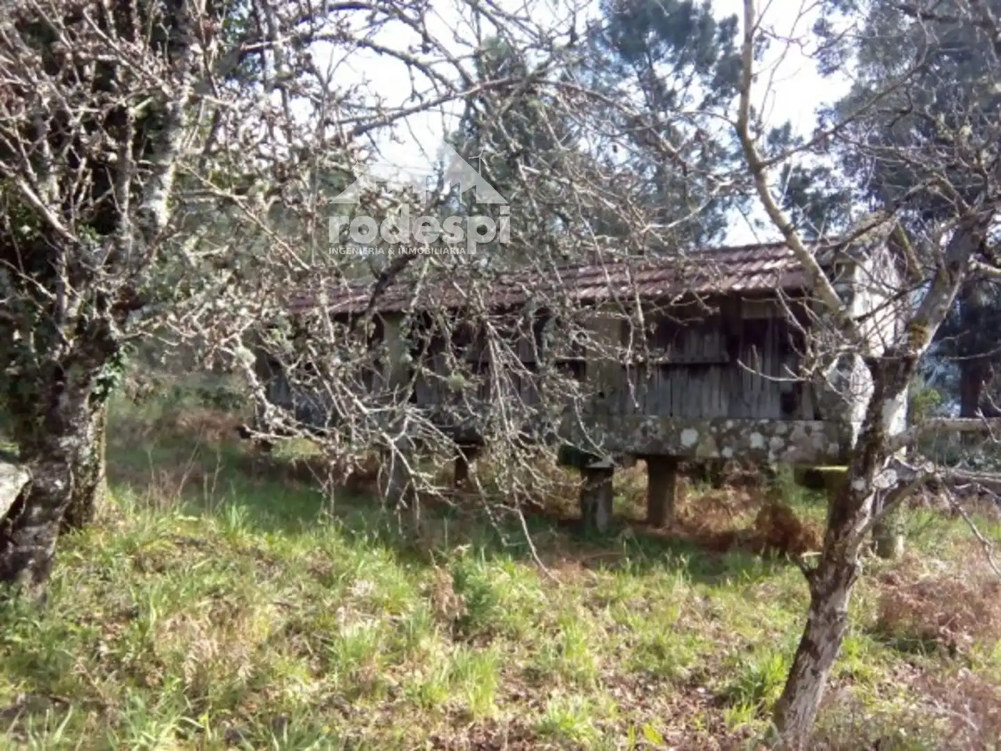Adossat en venda a Arbo, imagen 23