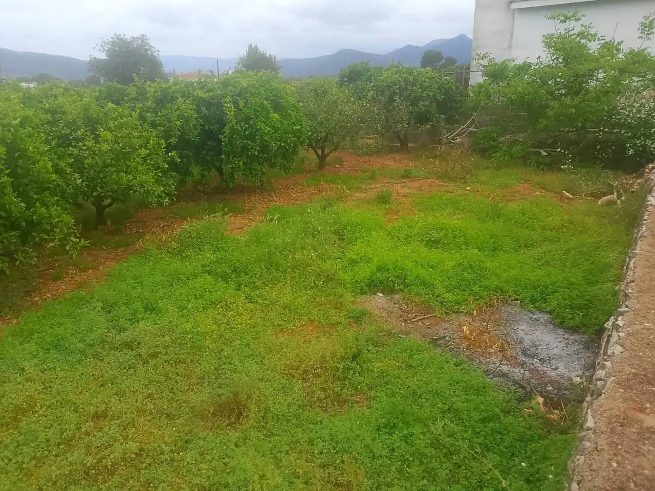 Terrain rustique à vendre à Calle Cami Rural Rotova, imagen 12