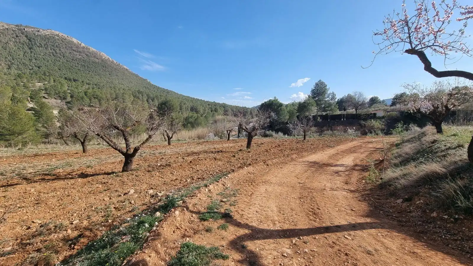 Terrenys i solars en venda a Camino UCENDA POLIGONO 16 PARCELAS 97 Y 98, imagen 5
