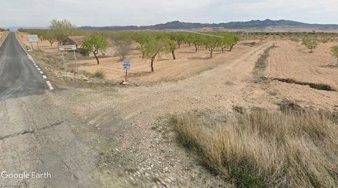 FINCA DE LABOR CON POSIBILIDAD DE EDIFICAR NAVE, VIVIENDA FAMILIAR.