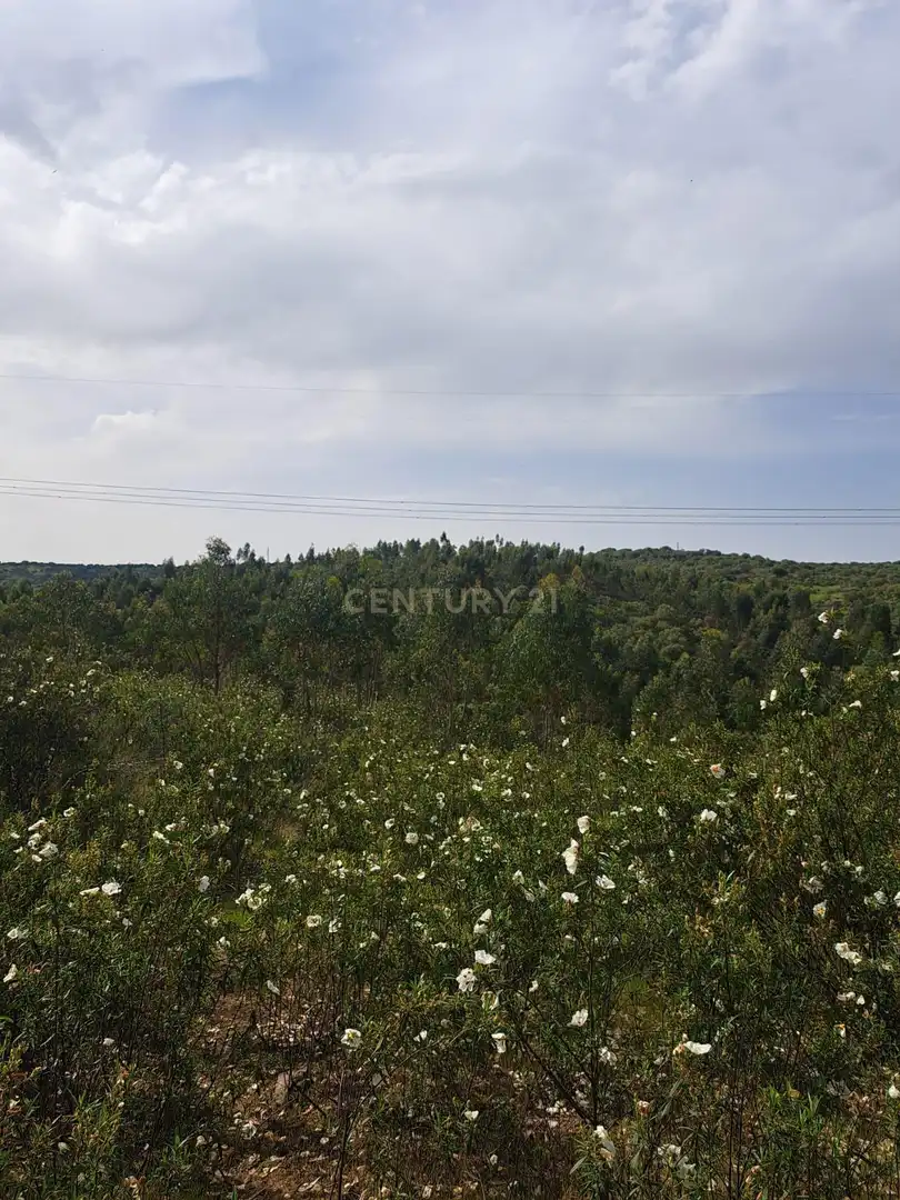 Terreno en venta en Herrera de Alcántara