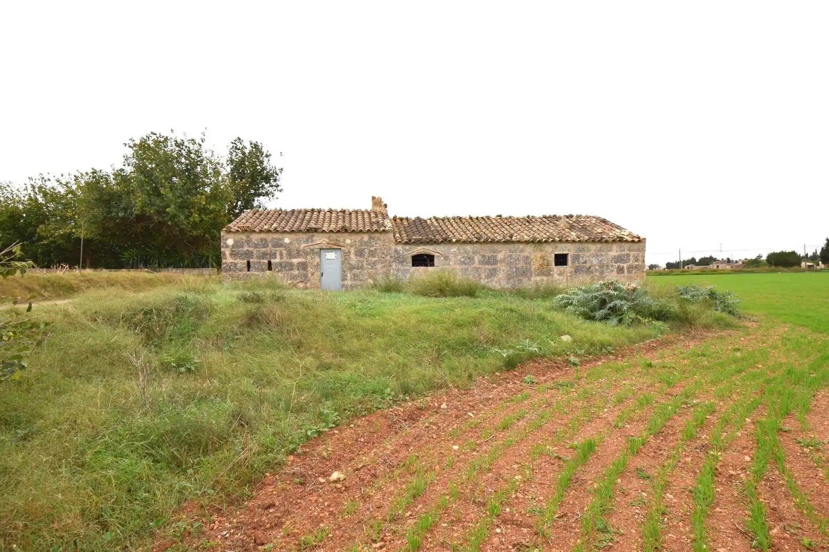Landhaus mit Pool zum Verkauf in Muro, imagen 22