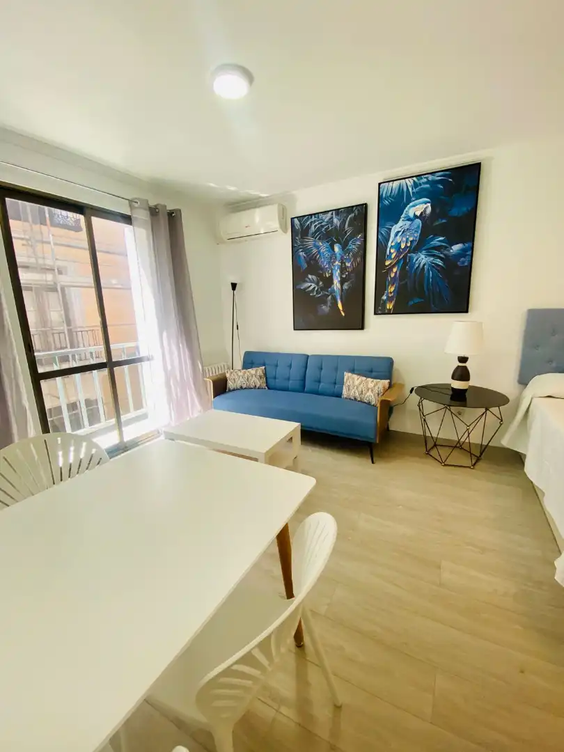 Estudi de lloguer a Calle de la Luna, 8, Universidad - Malasaña