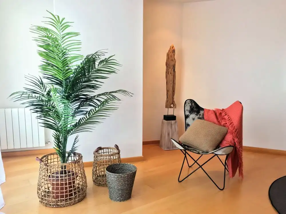 Sala d'estar de Apartament de lloguer en Alicante / Alacant amb Aire condicionat, Calefacció i Parquet