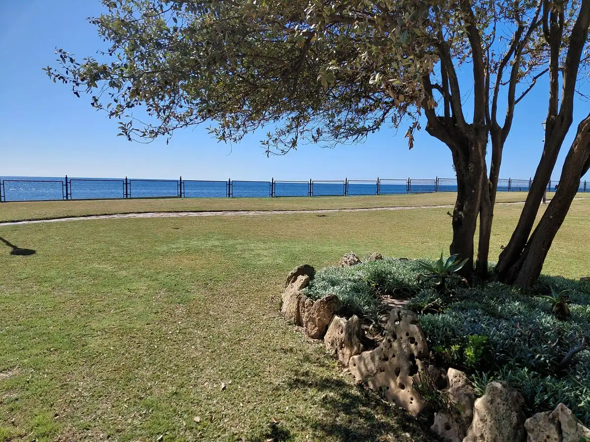 Jardín de Ático en venta en Marbella con Terraza, Trastero y Piscina