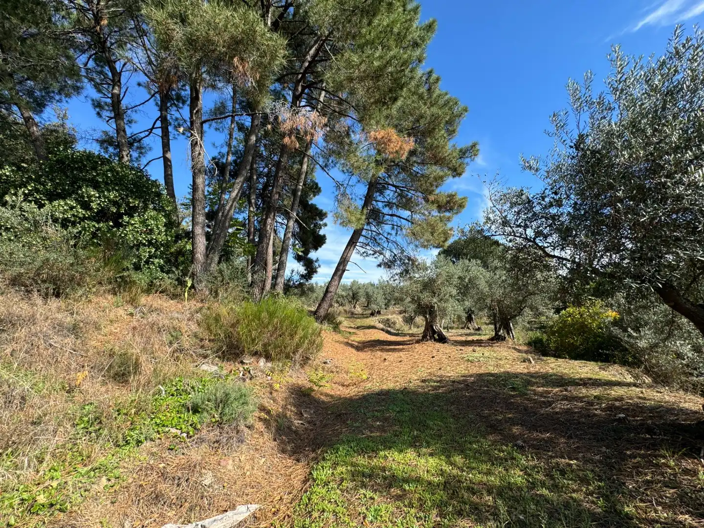 Finca rústica en venta en Candeleda con Jardín privado
