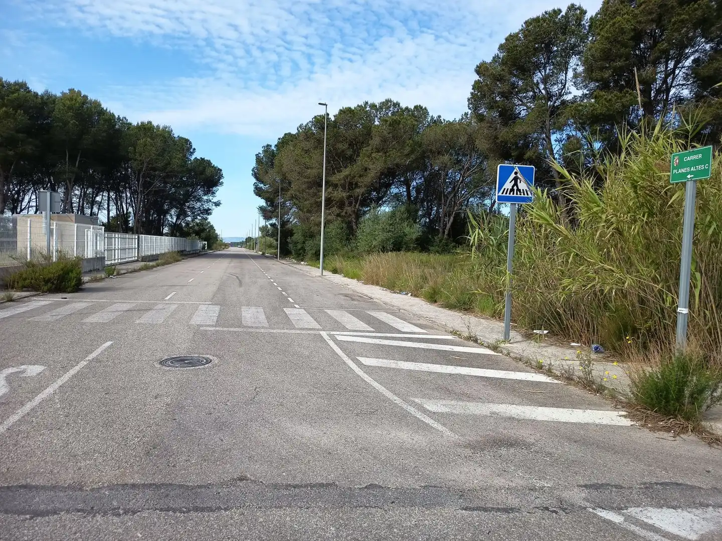 Terreni e lotti in vendita a PLANES ALTES C 11, imagen 7