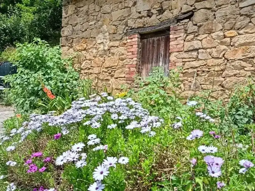 Jardí de Casa o xalet en venda en San Martín del Rey Aurelio amb Terrassa i Balcó