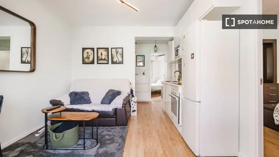 Sala de estar de Piso de alquiler en Madrid con Aire acondicionado, Calefacción y Amueblado