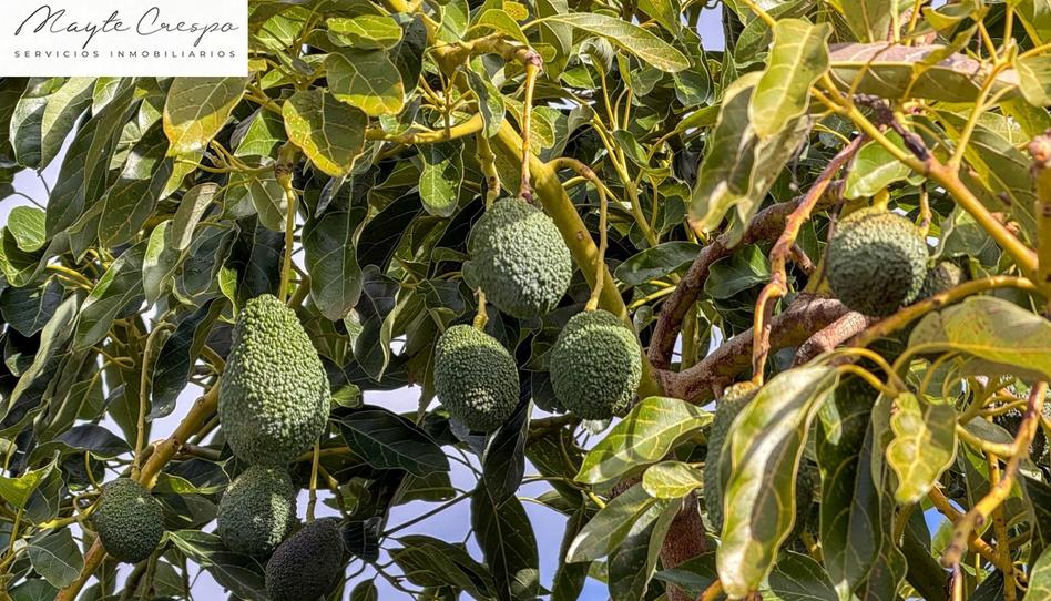 Foto 1 de Finca rústica en venda a Calle Diseminados, Pol-8 Par-359, Los Guájares, Granada