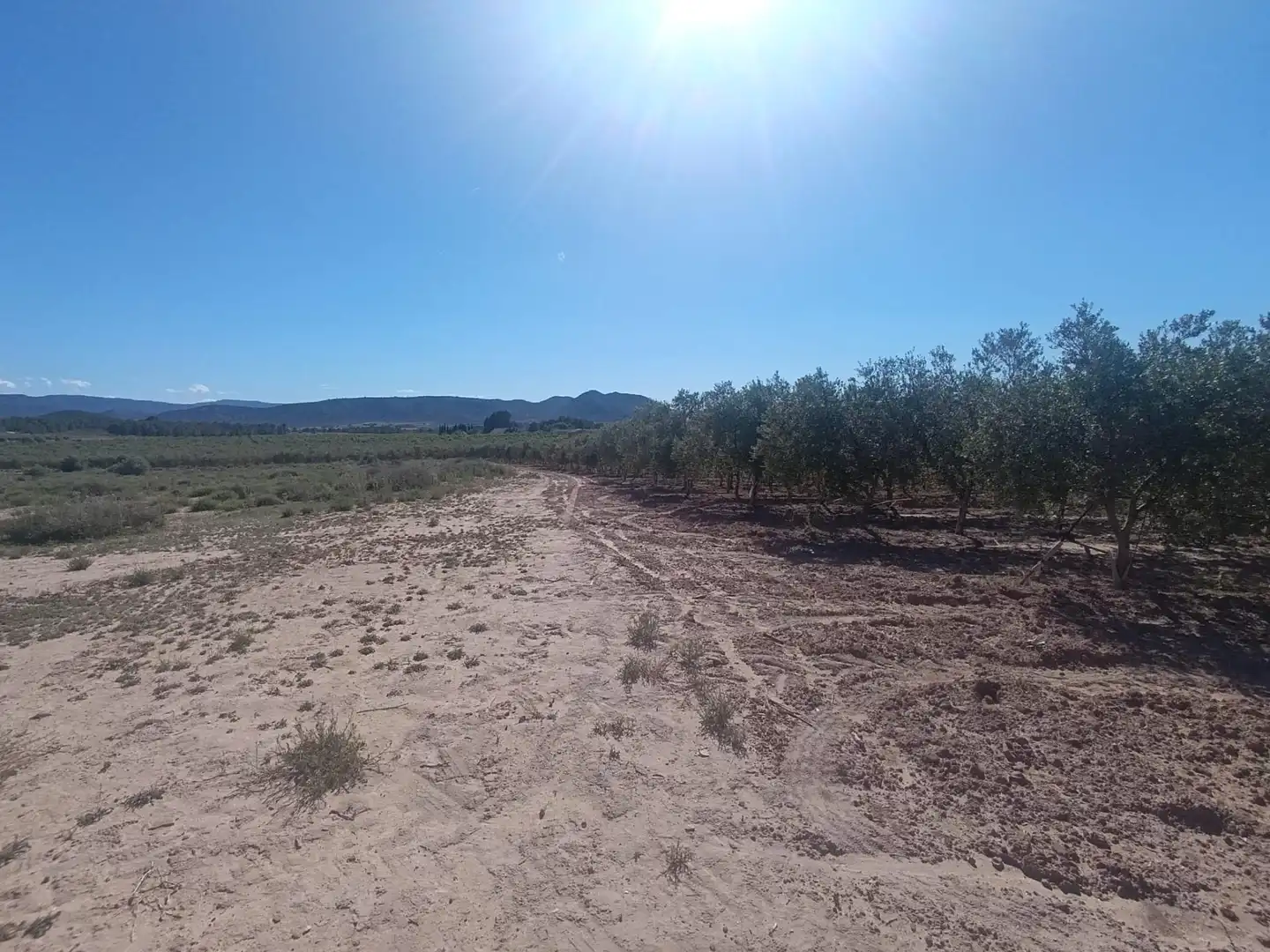 Rural land for sale in Partida Los Cabezos, imagen 4