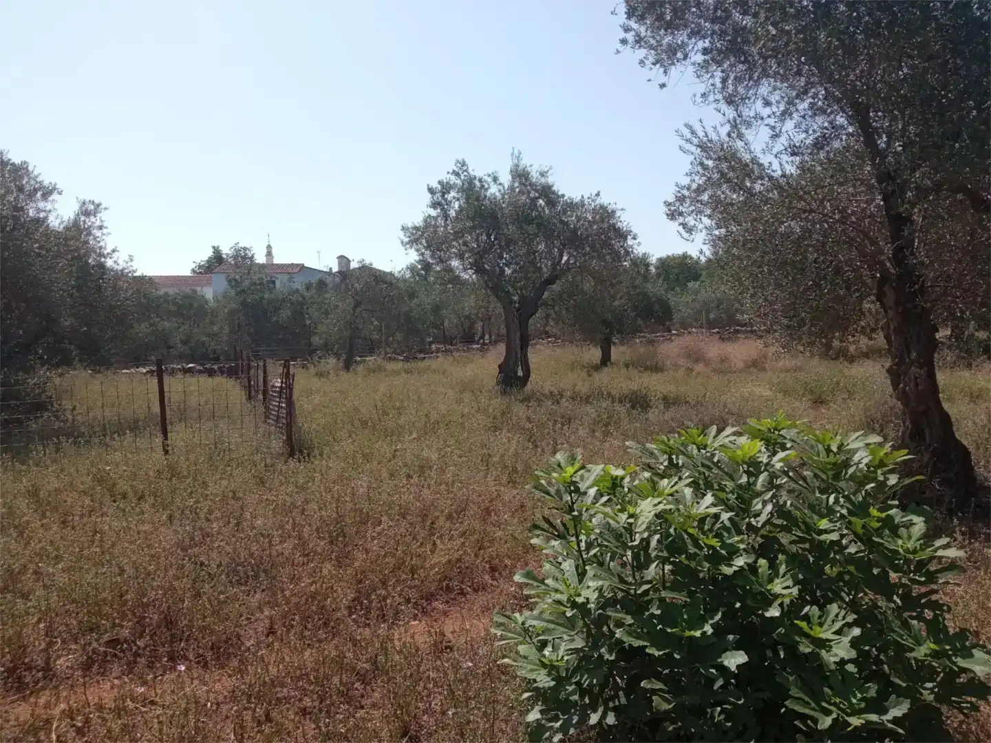 Finca rústica en venda en Corteconcepción amb Jardí privat