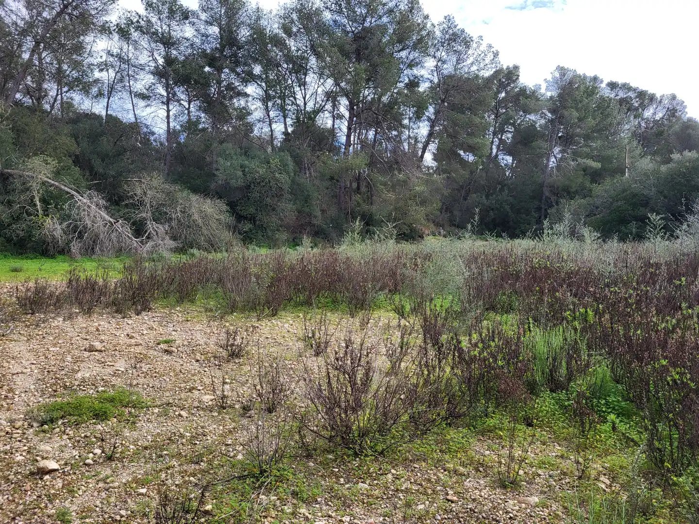 Terreni e lotti in vendita a Sant Joan, imagen 19