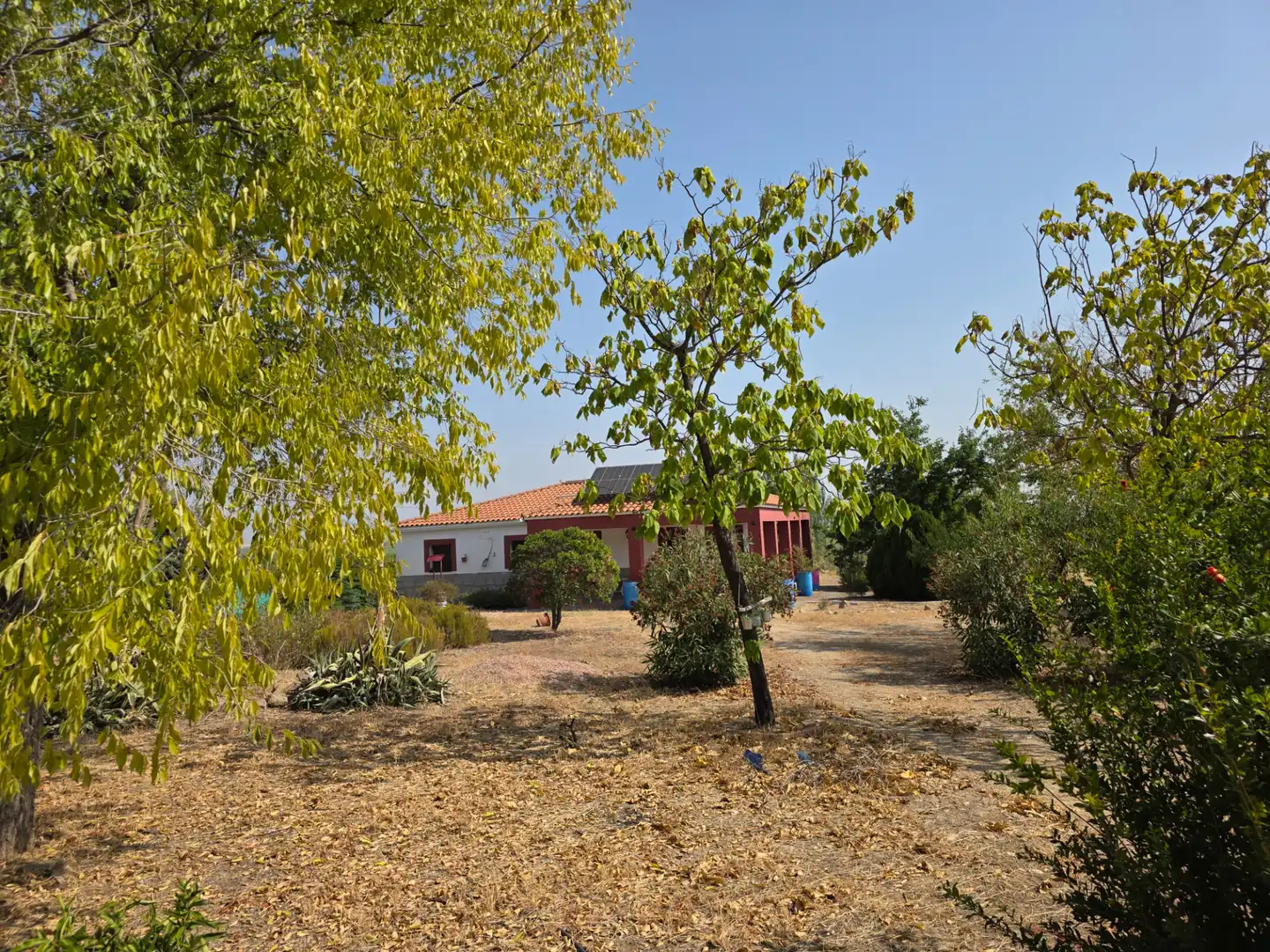 Chalet con jardín en venta en Villanueva de la Serena, imagen 28