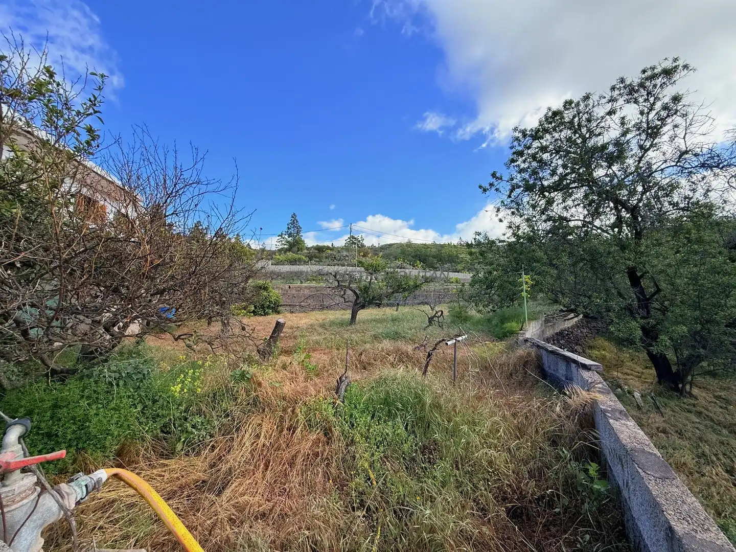 Maison rustique à vendre à el Charco Frio 11, imagen 6
